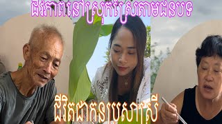 ផ្ការមៀតនៅស្រុកគេ មានតម្លៃថ្លៃណាស់ នៅចិនគេយកច្នៃធ្វើជាថ្នាំព្យាបាលជំងឺបានទៀតផង ។