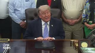 WATCH: Trump responds to DNC autopsy report by claiming elections are 'so rigged'