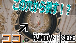 【R6S】壁ドンしたら見えちゃった