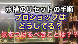 【保存版】水槽のリセットの手順はこうです。プロがリセットをする時に気をつけるべき事とは？