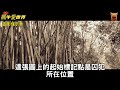 六扇門奇案：刑部的機密...【楓牛愛世界】 古代奇案