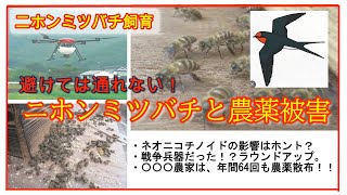 【趣味のニホンミツバチ養蜂】ニホンミツバチを飼育していて、誰もが避けて通れない原因不明の児出しや病気・外敵などなど。今回は、その中でも、危険な農薬被害について考えてみます。