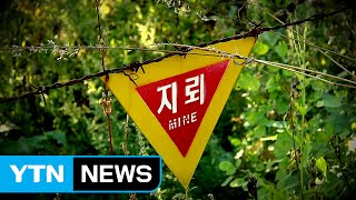 민간인 피해 최다지역, 지뢰제거작전은 '0번' / YTN (Yes! Top News)