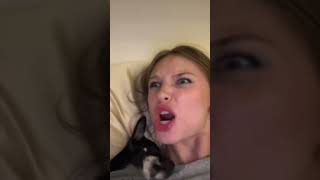 How is she still asleep?! #chihuahua #dog #dogs #viral #pov #shorts