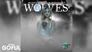 Selena Gomez, Marshmello - Wolves (Live AMAs 2017) [Audio]
