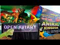 🦊 കുറുക്കൻ മുതൽ 🐍പെരുമ്പാമ്പ് വരെ ANIMAL KIGDOM Kottayam | pet show | Open Aviary