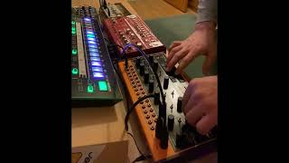 Behringer Crave Arpeggiator mode 130 bpm techno sound Roland Tr8