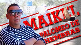 MAIKEL y el PALOMEO de HEMBRAS