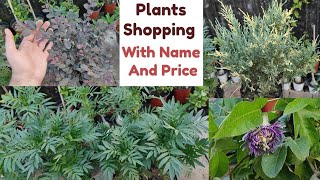 New Plants For My Winter Terrace Garden With Name And Price || Winter Flower Plants Shopping