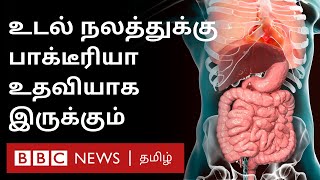 குடல் நாளத்தை நலமுடன் வைத்திருக்க என்ன சாப்பிட வேண்டும்? Easy tip for gut health