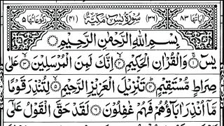 Surah Yasin | Surah Rahman Episode 41) Beautiful Quran Recitation | Daily quran tilawat