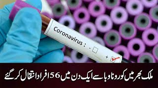 Coronavirus Update in Pakistan #Shorts #ExpressNews