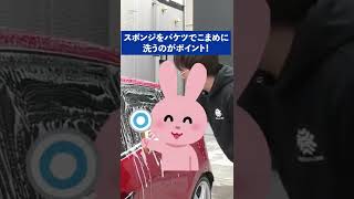 実は間違った洗車でボディをキズつけている！？プロが教えるスポンジの動かし方のコツとは！#shorts #洗車 #carwash　#手洗い洗車  #洗車キズ　#カーシャンプー　#水垢