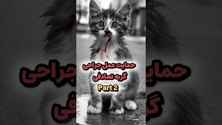 امداد #گربه تصادفی 🐱 عمل جراحی ❤️ پارت دو #cat #catlover