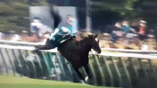 2021.9.4ハプニング【ＪＲＡ札幌　札幌２歳ステークス　ラチ飛んで放馬】