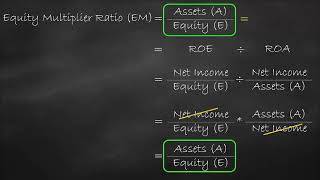 Solvency Ratio - Equity Multiplier or Financial Leverage Alternative Formula