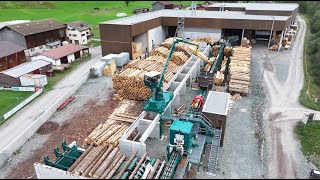 Rundholzplatz / Round wood yard