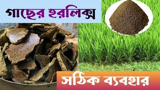 গাছে সরিষার খৈলের ব্যবহার। খৈলে মধ্যে কি কি খাদ্য উপাদান থাকে।Application of mustard cake in plants.