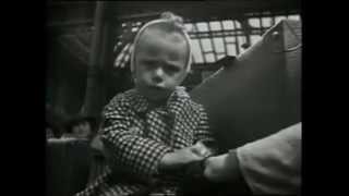 Nicky's Children, Sir Nicholas Winton, Holocaust