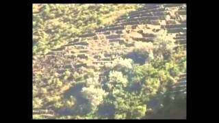 Incan Terrace Farming