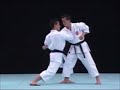 shitokai shitoryu kosokun dai bunkai kumite