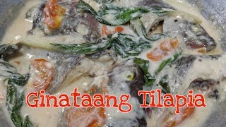 HOW TO COOK GINATAANG TILAPIA | QUICK and EASY