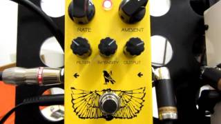 อ.โอ๋ รีวิวเอฟเฟคกีตาร์คอรัส Horus Chorus by Pedal Tank Effect