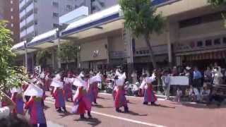 疾風乱舞さん　2014湘南よさこい　湘南スターモール