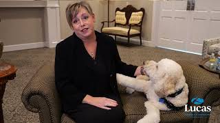 Frankie the Therapy Dog - Lucas Funeral Homes