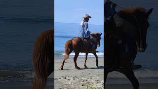 Exercise walk on the beach #travel #beach #viralvideo #likeandsubscribe