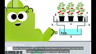 Introduction to Aquaponics: Aquaponic Growing Methods