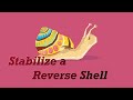 Stabilize a Reverse Shell