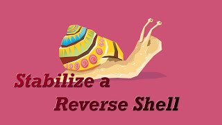 Stabilize a Reverse Shell
