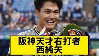 阪神タイガース天才右打者西純矢【阪神タイガース#なんj反応 】