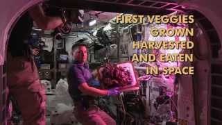 Astronauts Take First Bites of Space-Grown Lettuce