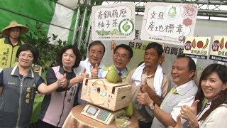 文旦季節到! 黃偉哲開直播銷麻豆文旦｜寰宇新聞20180815