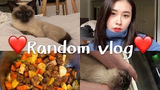 Random vlog 巴黎蓝带初级顺利毕业 正式进入中级cuisine的学习啦~~