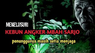 KEBUN MBAH SARJO DAN PENUNGGUNYA 🔦