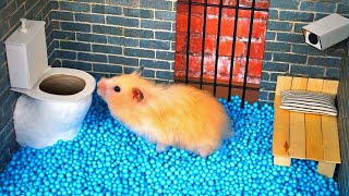 🐹Hamster escapes the awesome maze for Pets in real life🐹 in Hamster stories #1