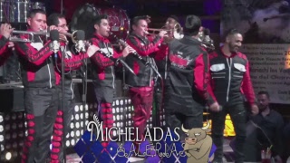 Micheladas Galerias -  sonora camaleon