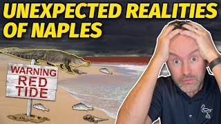 What They Don’t Tell You About Living in Naples, Florida!