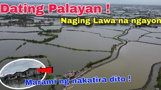 Dating Palayan ! Palaisdaan na ngayon ! Napapalibutan ng Tubig ! Castuli Pampanga Part 4