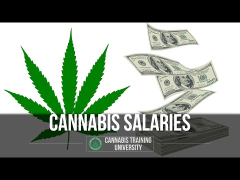 Cannabis Industry Salary Guide – Cannabis Jobs. Budtender Jobs. Dispensary Jobs.