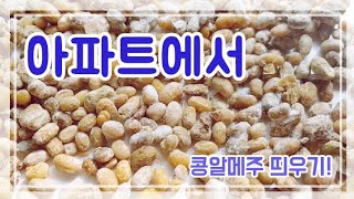 아파트에서 전기밥솥\u0026전기장판으로 콩알메주 띄우기!