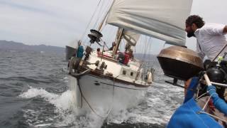 Crazy Pirate jumps between sailboats