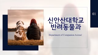 [2022 SAU 학과 소개] 반려동물과  | 신안산대학교 SAU University