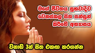 මිනිත්තු 3න් සිත එක්තැන් කර, සුභවාදී විශ්ව ශක්තිය ඔබේ ජීවිතයට ආකර්ශණය කරන ප්‍රබල අභ්‍යාසයmeditation