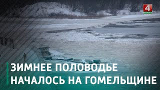 На Гомельщине, из-за обильных осадков, началось зимнее половодье