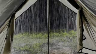 Fall Into Sleep In A Tent On Rainy Night | Heavy Rain On Tent & Powerful Thunder Sounds In Forest