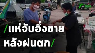 ชาวบ้านแห่จับอึ่งขาย หลังฝนตก | 13-05-63 | ข่าวเที่ยงไทยรัฐ